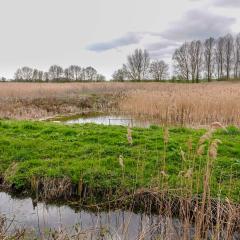 Skerne Wetlands, Yorkshire Wildlife Trust