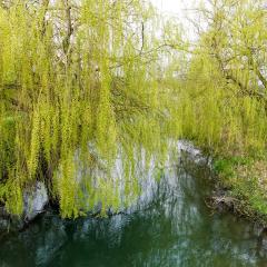 Skerne Wetlands, Yorkshire Wildlife Trust