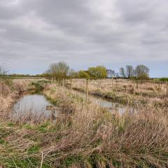 Skerne Wetlands, Yorkshire Wildlife Trust