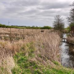 Skerne Wetlands, Yorkshire Wildlife Trust