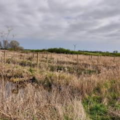 Skerne Wetlands, Yorkshire Wildlife Trust