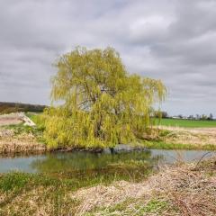 Skerne Wetlands, Yorkshire Wildlife Trust