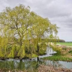 Skerne Wetlands, Yorkshire Wildlife Trust