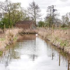 Skerne Wetlands, Yorkshire Wildlife Trust
