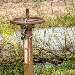 Skerne Wetlands, Yorkshire Wildlife Trust