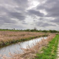 Skerne Wetlands, Yorkshire Wildlife Trust