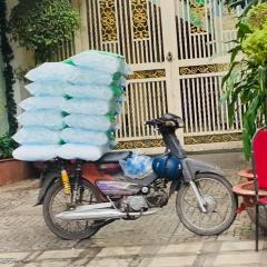 Ice, Scooter