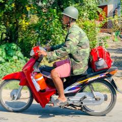 Scooter