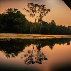 Ankar Thom Moat, Siam Reap