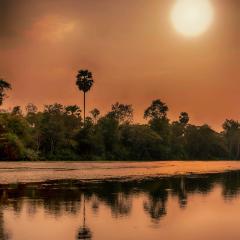 Ankar Thom Moat, Siam Reap