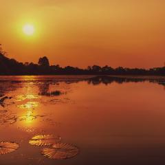 Ankar Thom Moat, Siam Reap