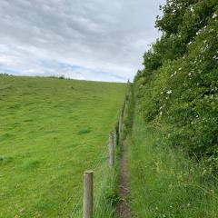 Bishop Wilton to Pocklington, Walk