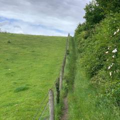 Bishop Wilton to Pocklington, Walk