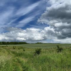 Bishop Wilton to Pocklington, Walk