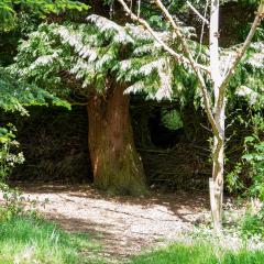 Yorkshire Arboretum