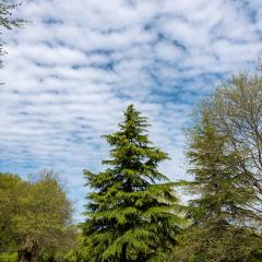 Yorkshire Arboretum