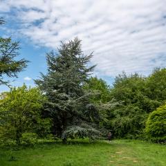 Yorkshire Arboretum
