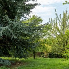 Yorkshire Arboretum