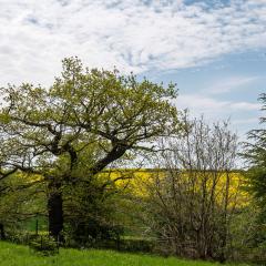 Yorkshire Arboretum