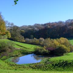 04Nov20, Cycle, Givendale, Walk