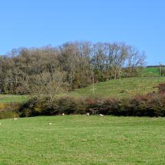 04Nov20, Cycle, Givendale, Walk