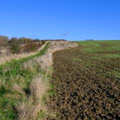 04Nov20, Cycle, Givendale, Walk