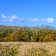 04Nov20, Cycle, Givendale, Walk
