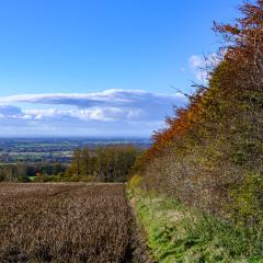 04Nov20, Cycle, Givendale, Walk