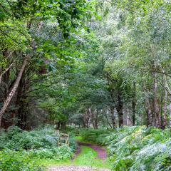 6Aug20, Sutton on Derwent, Walk