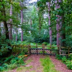 6Aug20, Sutton on Derwent, Walk