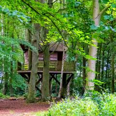 6Aug20, Sutton on Derwent, Walk