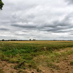 6Aug20, Sutton on Derwent, Walk