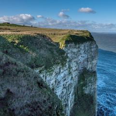 Bempton Cliffs, RSPB