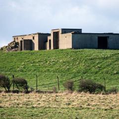 Bempton Cliffs, RSPB