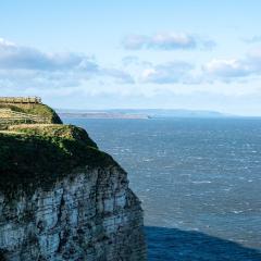 Bempton Cliffs, RSPB