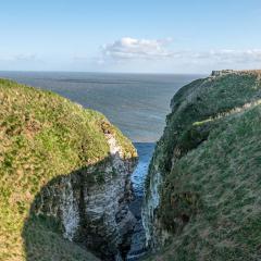 Bempton Cliffs, RSPB