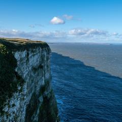 Bempton Cliffs, RSPB