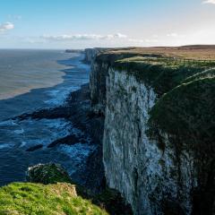 Bempton Cliffs, RSPB