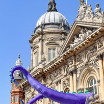 Hull