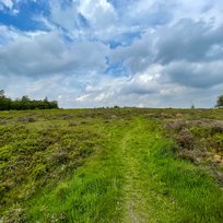 Cawthorne Roman Camp, Pickering