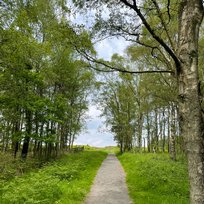 Cawthorne Roman Camp, Pickering