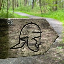 Cawthorne Roman Camp, Pickering