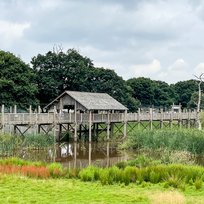 IMG_3369_27Jul21_sRGB
