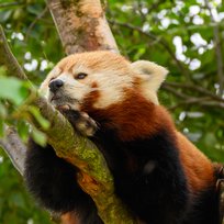 Z50_2368_27Jul21_sRGB