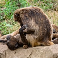 Z50_2392_27Jul21_sRGB