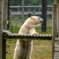 Z50_2401_27Jul21_sRGB