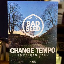 Bad Seed, Beer, Change Tempo, Pub, Slip Inn