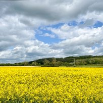 10May22, Cycling, Nunburholme Circuit