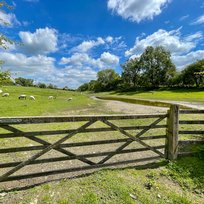 09Jun22, Cycling, Warrter Big Circuit