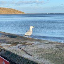 Filey